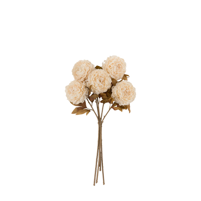 Petworth Natural Peony Stem (5pk)