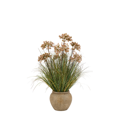 Bibury Potted Grass Flowers In Rustic Pot