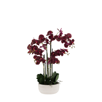 Taormina Real Touch Plum Orchid In Ceramic Ridged Pot