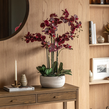 Taormina Real Touch Plum Orchid In Ceramic Ridged Pot