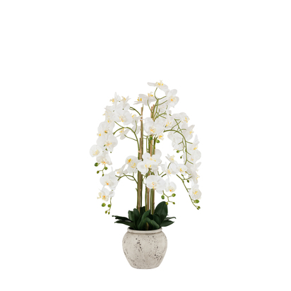Como Real Touch White Orchid In Cement Style Pot