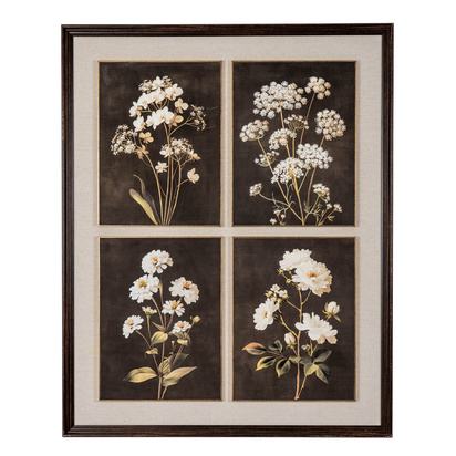 Flora & Fauna Collection Four Botanicals in Classic Frame