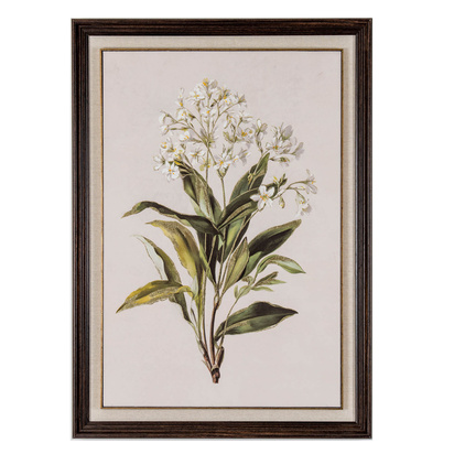 Flora & Fauna Collection White Wildflower on Linen in Frame