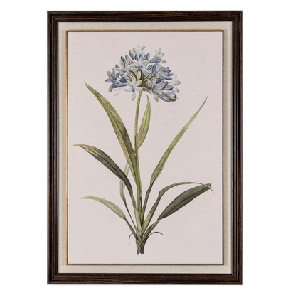 Flora & Fauna Collection Blue Wildflower in Frame
