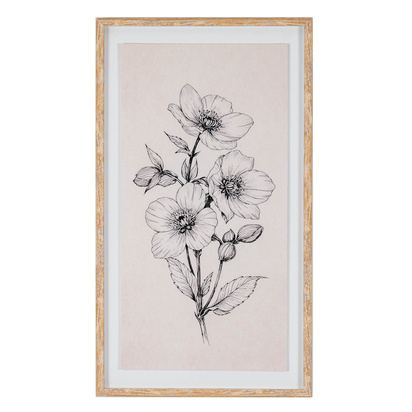 Sketchbook Hellebore in Frame