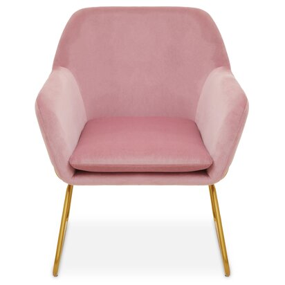 Greuana Pink Velvet Modern Accent Chair with Gold Frame
