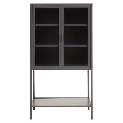Acier Two Door Grey Metal Cabinet With Glass Doors