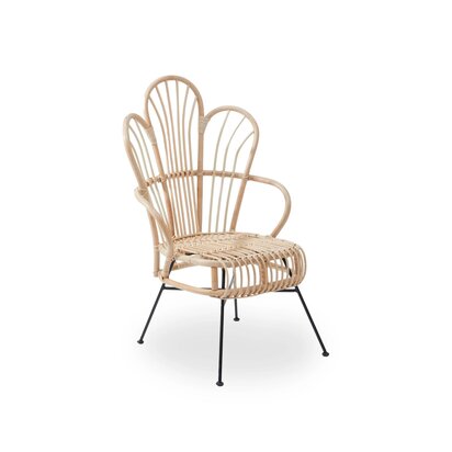 Doucet Grey Velvet Chair With Gold Finish Legs