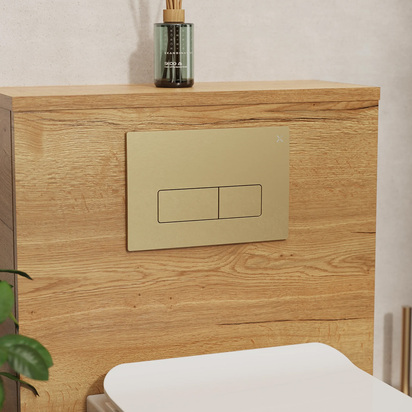 Crosswater MPRO Brushed Brass Dual Flush Plate