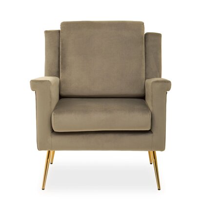 Delubourne Mink Velvet Armchair with Gold Legs
