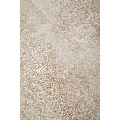 Cadio 2 Drawer Shagreen Effect Side Table