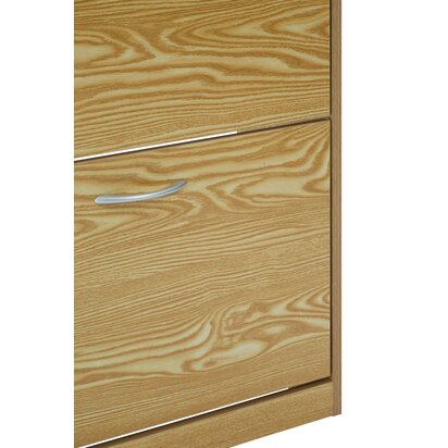Verarmere 2 Tier Shoe Cabinet