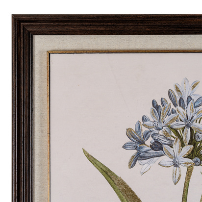 Flora & Fauna Collection Blue Wildflower in Frame