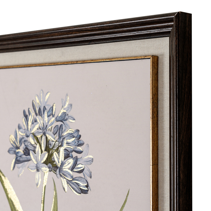 25016 b.jpg