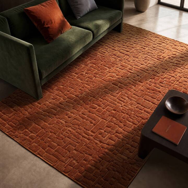Casa terra ls new 2 sq.jpg