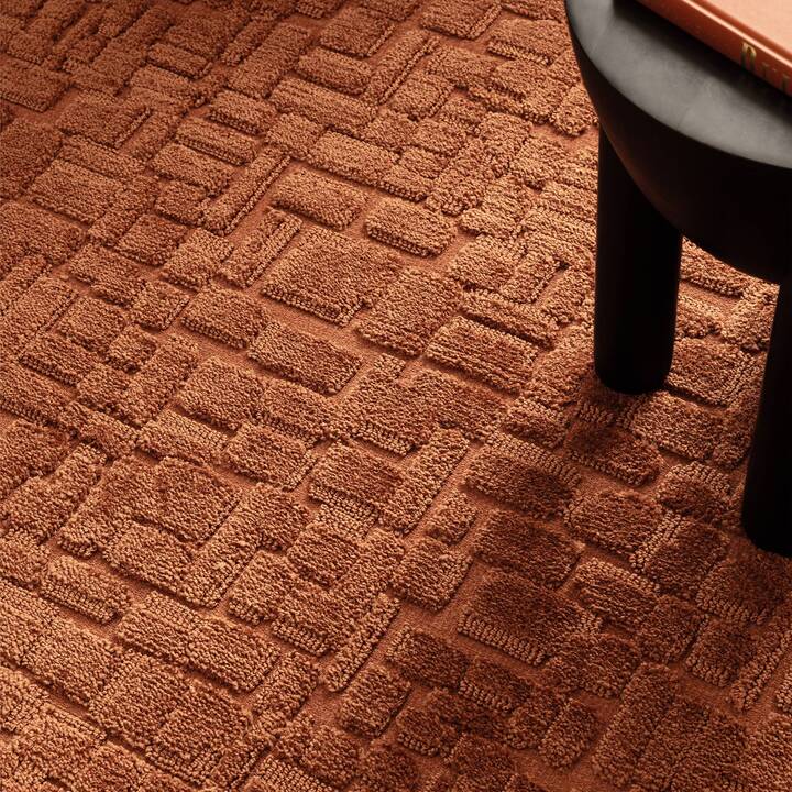 Casa terra cl sq.jpg