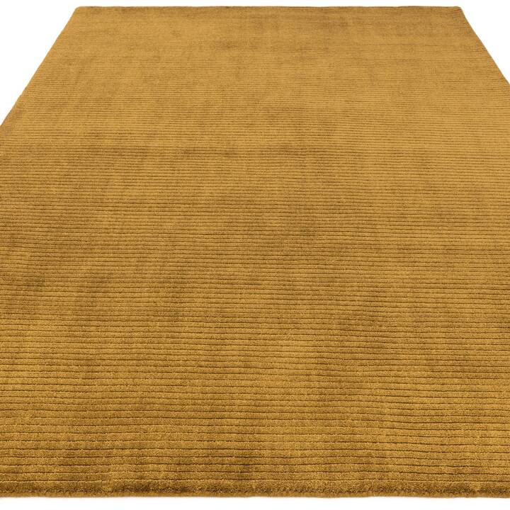 Rowan gold 1.jpg