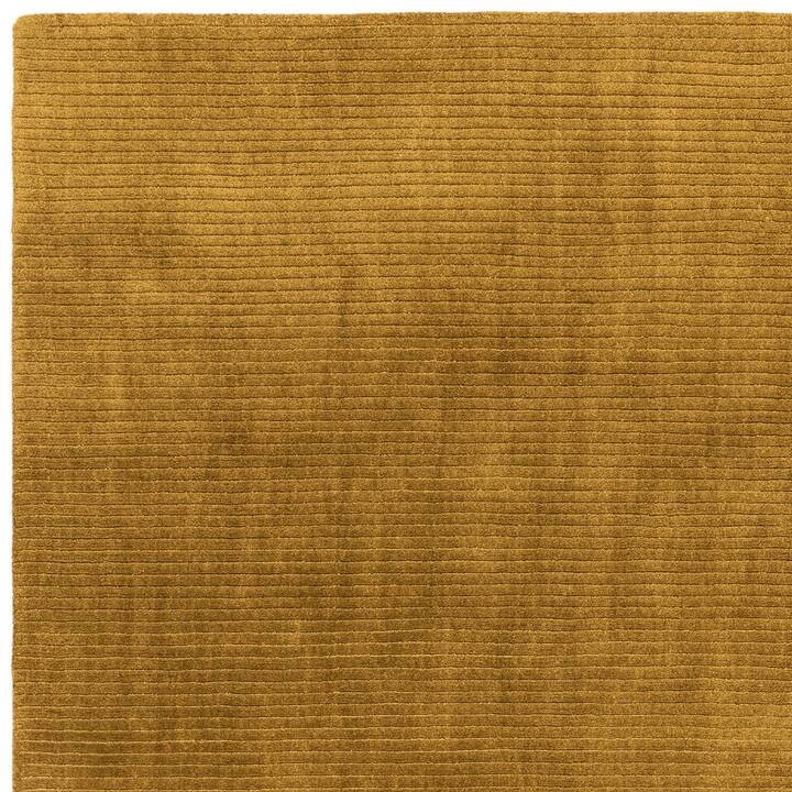 Rowan gold 2.jpg
