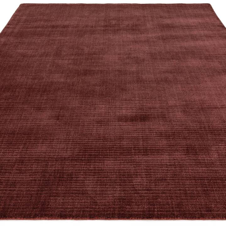 Rowan maroon 1.jpg