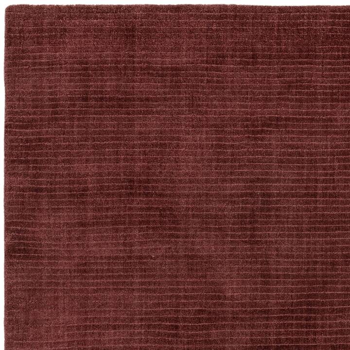 Rowan maroon 2.jpg