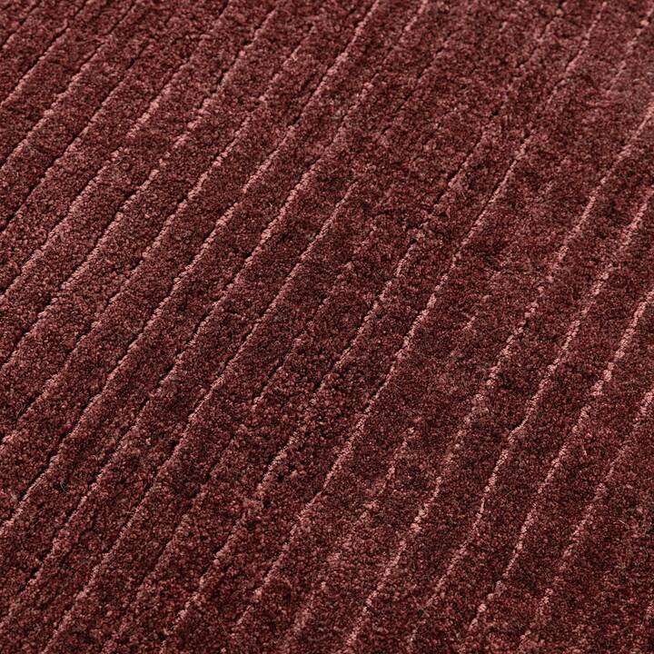 Rowan maroon 4.jpg