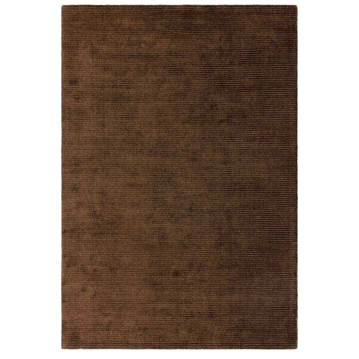 Rowan chocolate.jpg