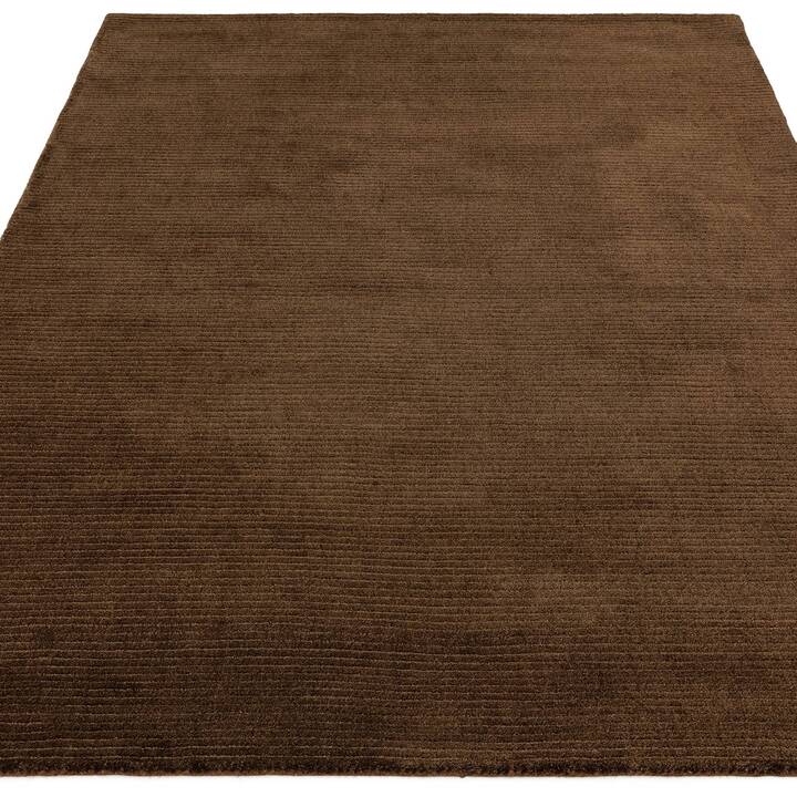 Rowan chocolate 1.jpg
