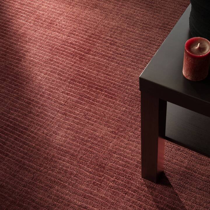 Rowan maroon cl sq.jpg
