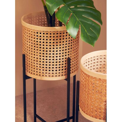 Grerora Small Rattan Planter with Metal Stand