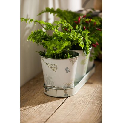 Eloridge Set Of Three Pots On Oblong Tray