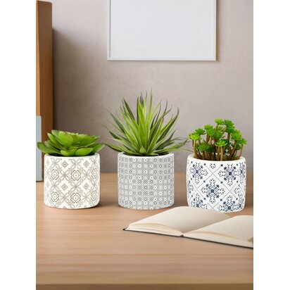 Kenarose Set of 3 Succulents in Geometric Design Ceramic Pots