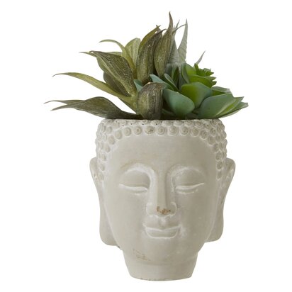 Kenarose Buddha Pot Mixed Succulent