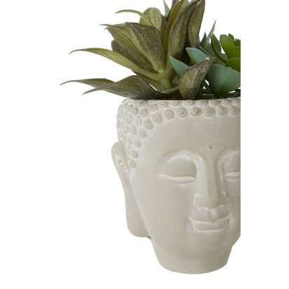 Kenarose Buddha Pot Mixed Succulent