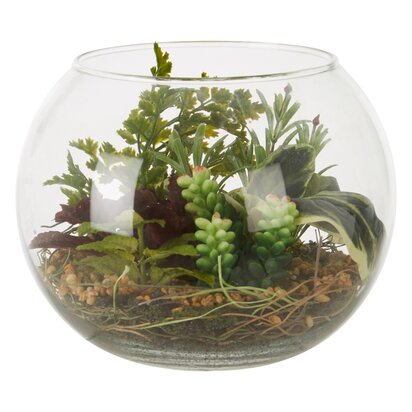 Kenarose Large Terranium
