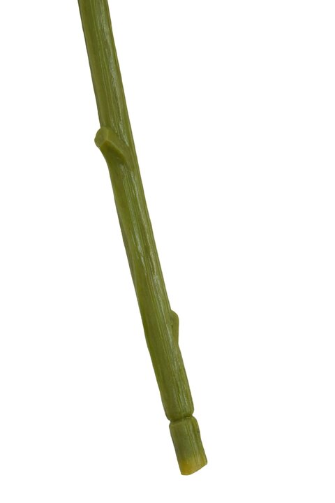 223523