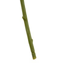 223523