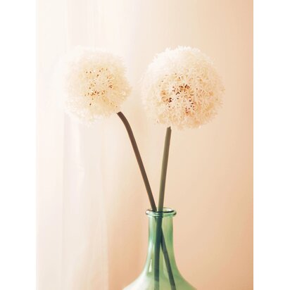 Kenarose Ivory Allium Flower Stem