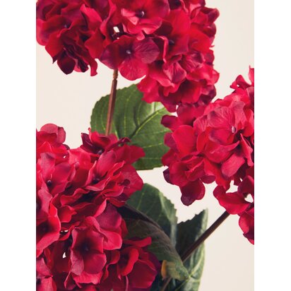 Kenarose Red Hydrangea Flower Stem