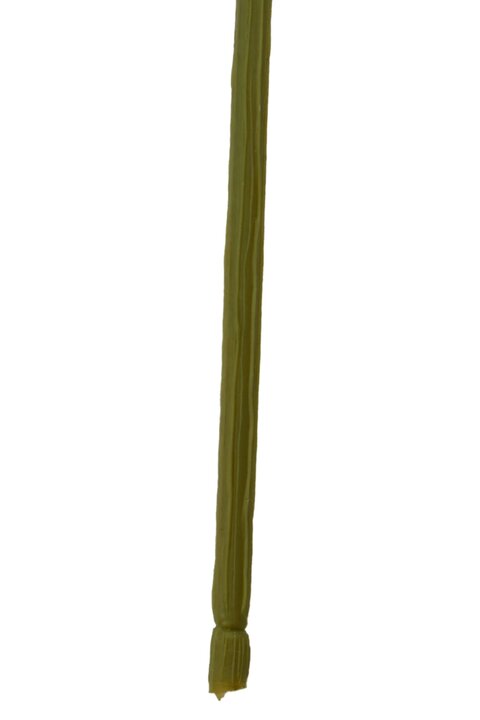 223622