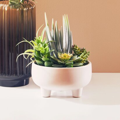Kenarose Mixed Succulents In Large Ceramic Pot