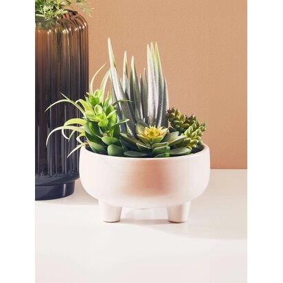 Kenarose Mixed Succulents In Large Ceramic Pot
