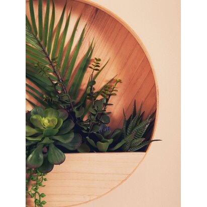 Kenarose Mixed Succulents In Wood Wall Planter