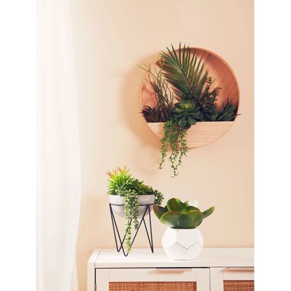 Kenarose Mixed Succulents In Wood Wall Planter