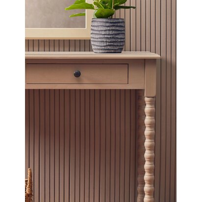 Kenarose Ficus Plant in a Pot