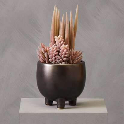 Kenarose Mixed Succulents In Ceramic Pot