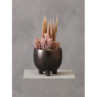 Kenarose Mixed Succulents In Ceramic Pot